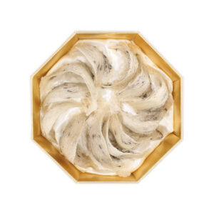 TỔ YẾN SÀO TRẮNG THÔ ( HỘP 100 GR )